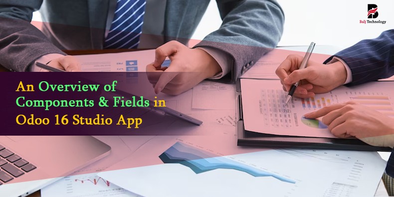 An Overview of Components & Fields in Odoo 16 Studio App